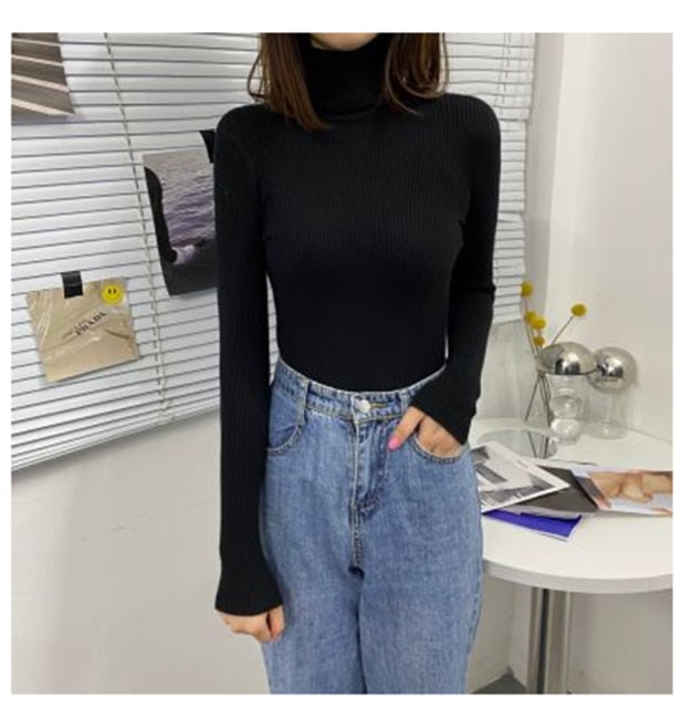 Women Turtleneck Sweaters Autumn Winter Korean Slim Pullover Women Basic Tops Casual Soft Knit Sweater Soft Warm Jumper